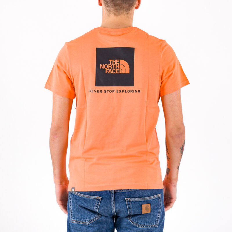 articulo-5563-imagen-4987.jpg
